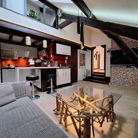 Le Perchoir De L'Empereur Apartman Orléans Kültér fotó