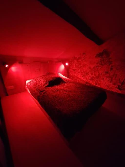 Le Perchoir De L'Empereur Apartman Orléans Kültér fotó